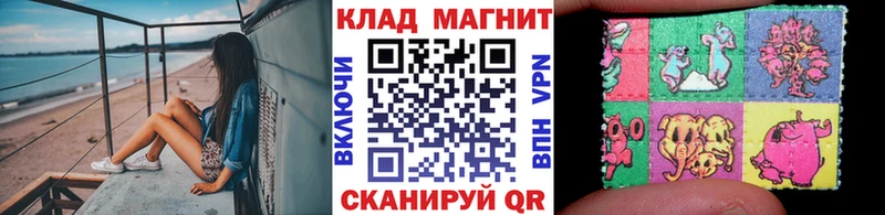 Купить закладку APVP АМФЕТАМИН Канабис МЕФ Нововоронеж