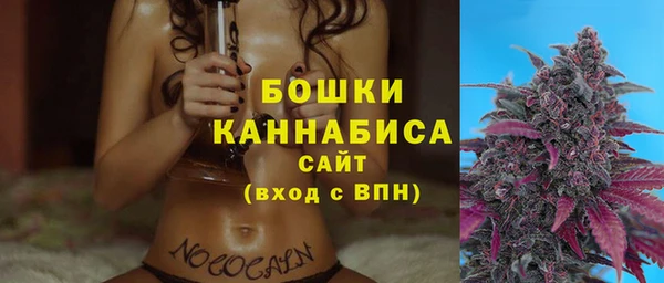 ПСИЛОЦИБИНОВЫЕ ГРИБЫ Верея
