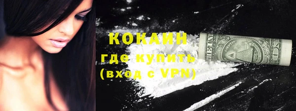 ПСИЛОЦИБИНОВЫЕ ГРИБЫ Верея