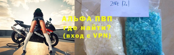 ПСИЛОЦИБИНОВЫЕ ГРИБЫ Верея