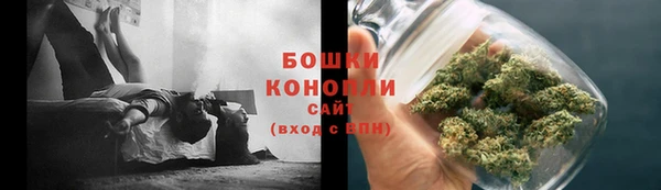 ПСИЛОЦИБИНОВЫЕ ГРИБЫ Верея
