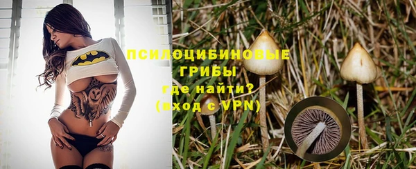 apvp Верхний Тагил