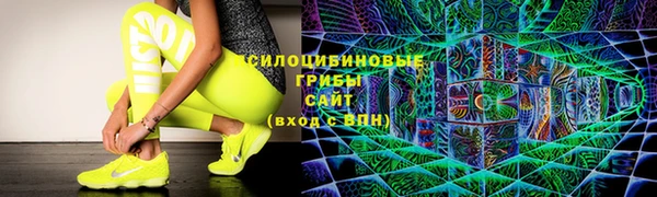 ПСИЛОЦИБИНОВЫЕ ГРИБЫ Верея