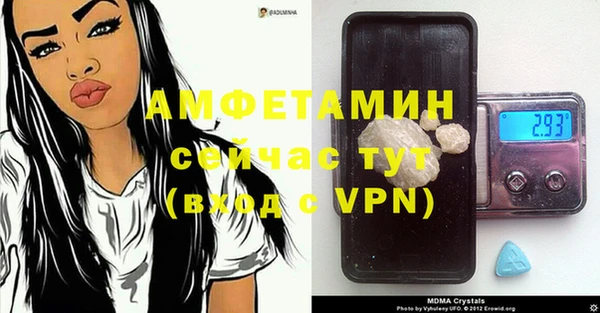 ПСИЛОЦИБИНОВЫЕ ГРИБЫ Верея