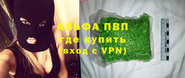 ПСИЛОЦИБИНОВЫЕ ГРИБЫ Верея