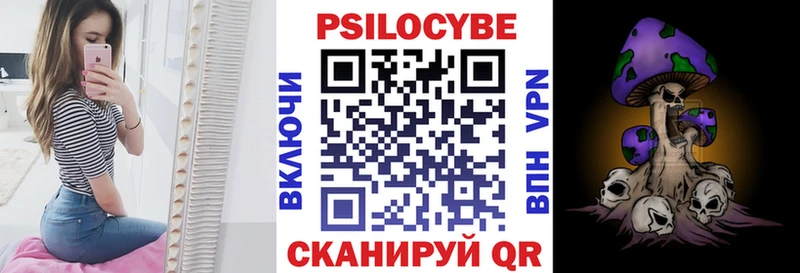 Купить  Нововоронеж  Псилоцибиновые грибы мицелий 