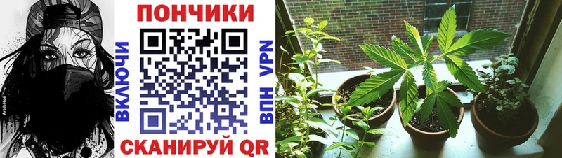 Канабис ГИДРОПОН  Купить закладки  Нововоронеж 